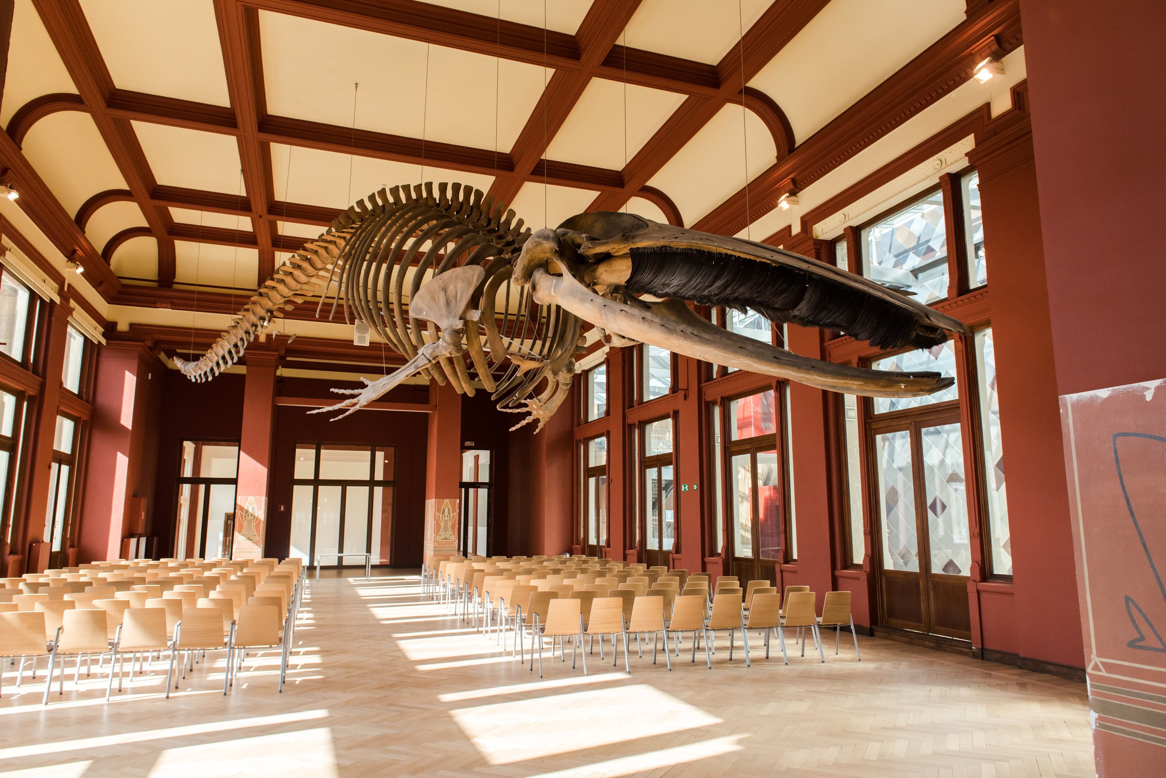 ACB - Plan your event!